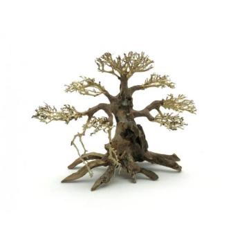 Bonsai Driftwood 40 x 30 x 33 cm No.100 kép