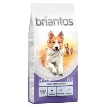 Briantos száraztáp gazdaságos csomagban - Adult Active (2 x 14 kg) kép