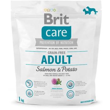 Brit Care Grain-free Adult Salmon & Potato 1 kg kép
