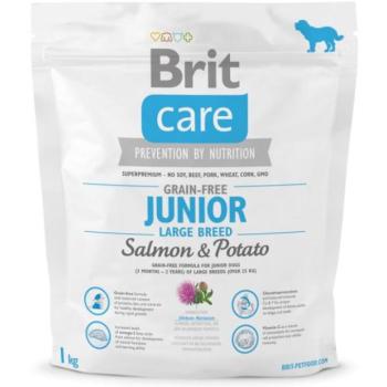 Brit Care Grain-Free Junior Large Breed Salmon & Potato 1 kg kép