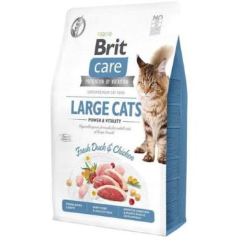Brit Care Large Cats Power & Vitality 7 kg