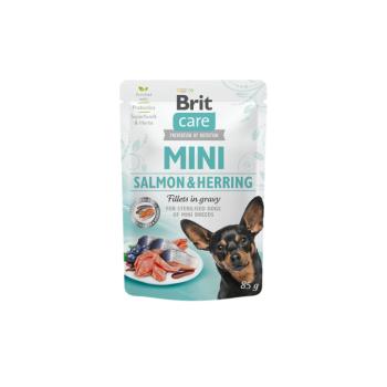 Brit Care MINI Pouch Salmon&Herring 24x85g kép