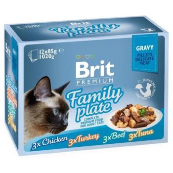 Brit Premium by Nature Delicate Fillets in gravy Family Plate 12x85 g kép