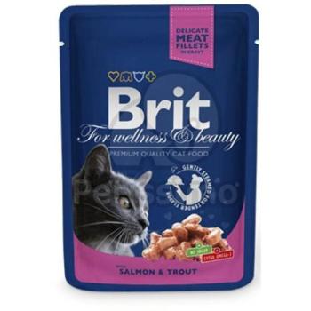 Brit Premium salmon & trout 24x100 g kép