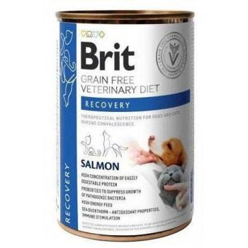 Brit Veterinary Diet Recovery 400 g kép