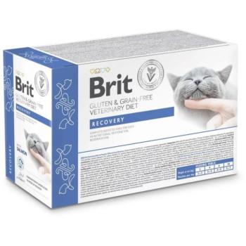 Brit Veterinary Recovery pouch 12x85 g kép