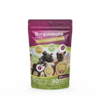 Burgimmune FORTE Prémium Immunerősítő Tabletta 30db kép