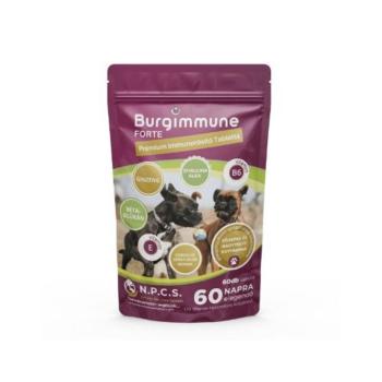 Burgimmune FORTE Prémium Immunerősítő Tabletta 60db kép
