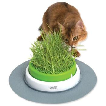 Catit 2.0 gyep kép