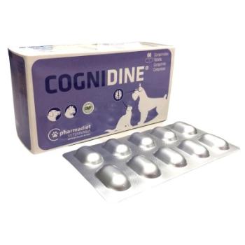Cognidine tabletta kutyák és macskák részére 60 db kép