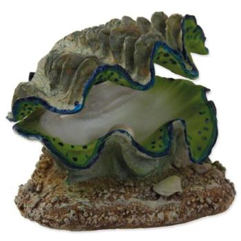 Dekoráció Aqua Kiváló Kagyló levegőztetés 12x10x5,5cm kép