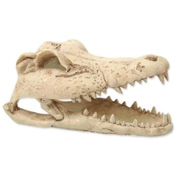 Dekoráció Repti Planet Crocodile koponya 13,8x6,8x6,5 cm kép
