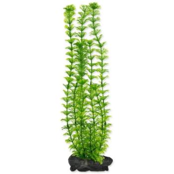Dekoráció Tetra Plant Ambulia L 30cm kép