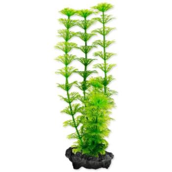 Dekoráció Tetra Plant Ambulia S 15cm kép