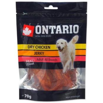 Delicacy ontariói csirke, szárított szelet 70g kép