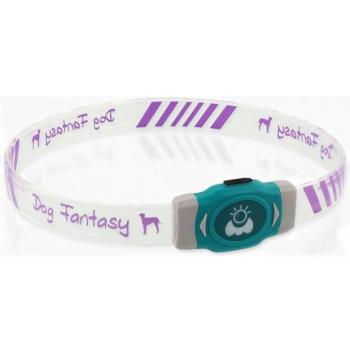 Dog Fantasy LED Világító többszínű újratölthető nyakörv L 65cm kép