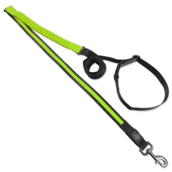 Dog Fantasy USB LED nylon futó póráz zöld 2,5x180-250cm kép