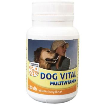 DOG VITAL Multivitamin tabletta 120 db kép