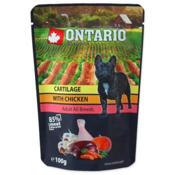 Egy csomag ontariói porc csirkével húslevesben 100g kép