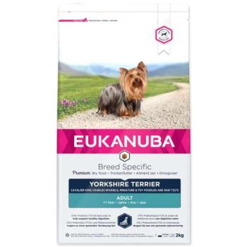 Euk Yorkshire terrier 2kg kép