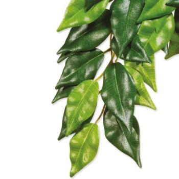 Exo Terra dekoráció Textil növény Ficus nagy kép