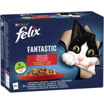 FELIX Fantastic Homemade Selection in aspic 12x85 g kép