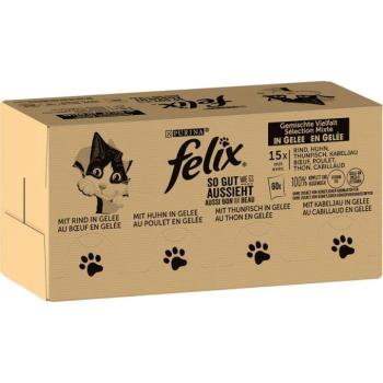 FELIX Sensations 120x85 g kép
