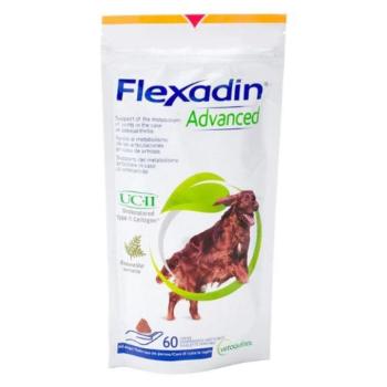 Flexadin Advanced Boswellia serrata-val kutyáknak 60db kép