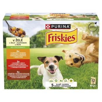 Friskies válogatás nedves kutyaeledel aszpikban 6 x (12 x 85 g) kép