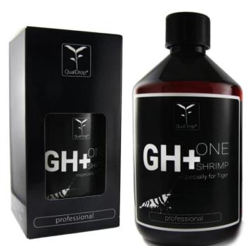 GH + One Rákos víz mineralizálása 500 ml kép