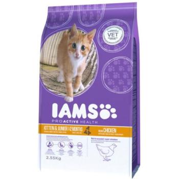 Iams Kitten & Junior 10 kg kép