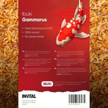 Ibuki Gammarus 1000 ml - szárított gammarus kép