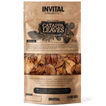 INVITAL CatappaLeaves 20g mandulalevél kép
