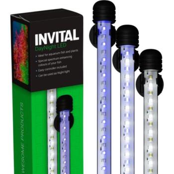 INVITAL DayNight LED 13,2W 58,5cm kép
