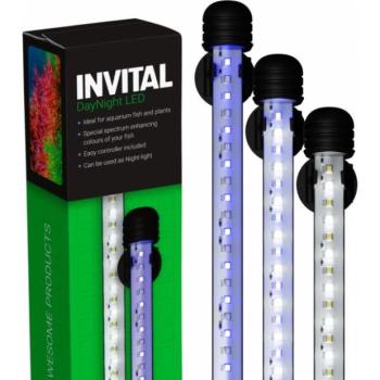 INVITAL DayNight LED 3,6W 19cm kép