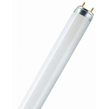 INVITAL UV fénycső 15W T8, G13 (TMC-hez) kép