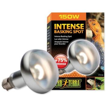 Izzó Exo Terra Intense Basking Spot 150W kép