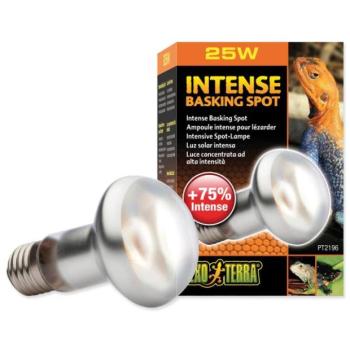 Izzó Exo Terra Intense Basking Spot 25W kép