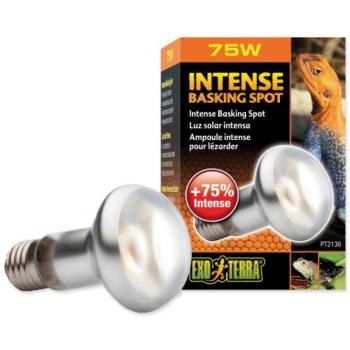 Izzó Exo Terra Intense Basking Spot 75W kép