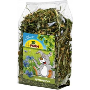 JR Farm Lándzsás Útifű 100 g kép