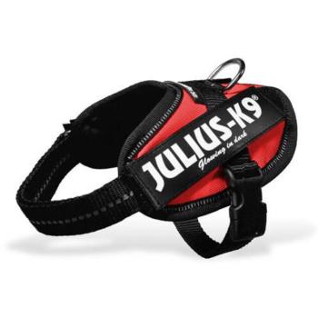 Julius-K9 IDC Powerhám Baby 2 piros kép