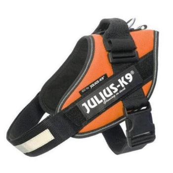Julius-K9 IDC Powerhám, felirattal, méret 2 UV Narancs kép