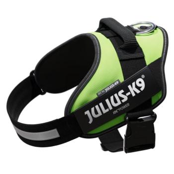 JULIUS-K9 IDC®-Powerhám kutyáknak, neonzöld, L méret kép