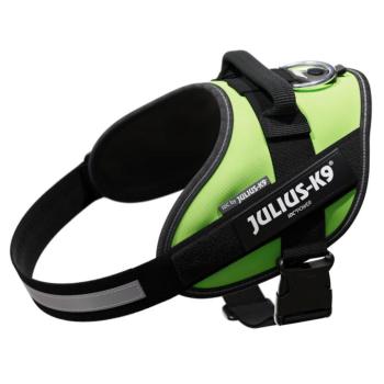 JULIUS-K9 IDC®-Powerhám kutyáknak, neonzöld, M méret kép