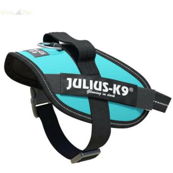 Julius-K9 IDC Powerhám Mini-mini aquamarine kép