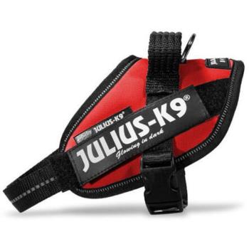 Julius-K9 IDC Powerhám Mini piros kép