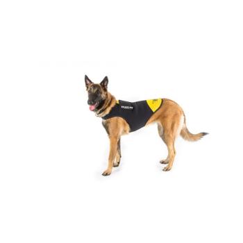 Julius-K9 Neoprén IDC kutyaruha XL (16DC-IDC-XL) kép