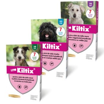 Kiltix kullancs- és bolhanyakörv M (53 cm) kép