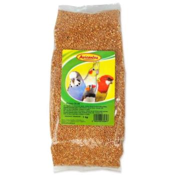 Köles Avicentra sárga 1kg kép