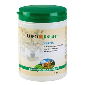 Multivitaminok kutyáknak kép